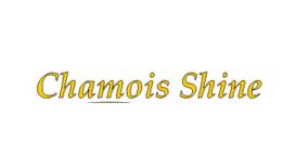 Chamois Shine Cleaning
