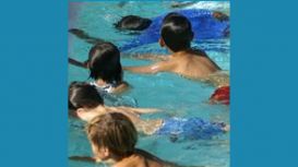 Flippers Swim School